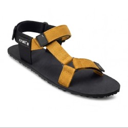 Rrat's T-Minimal Elephant Cinnamon