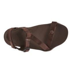 Xero Shoes Z-Trek Brown