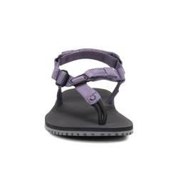 Xero Shoes H-trail Women Sage Purple