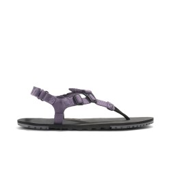 Xero Shoes H-trail Women Sage Purple